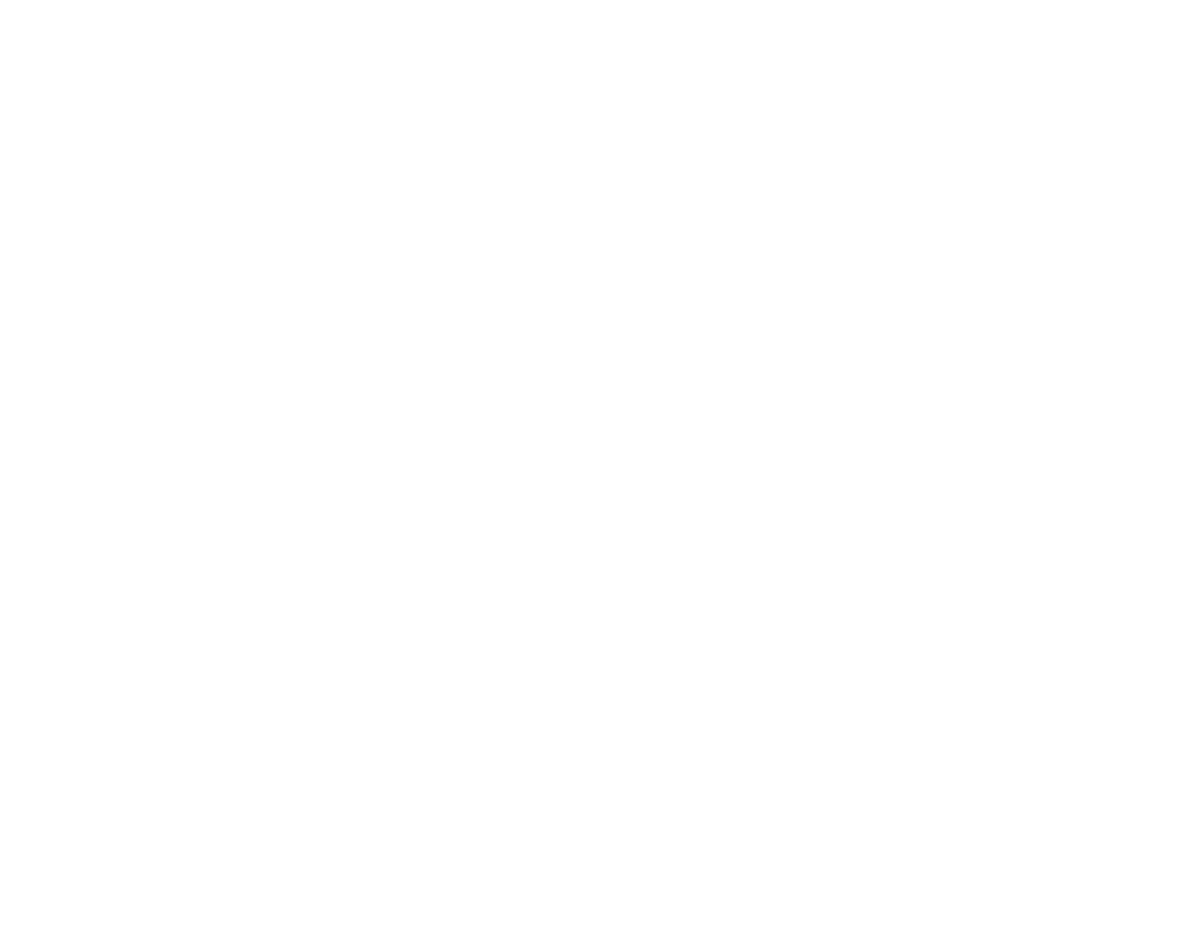 feature-item-1
